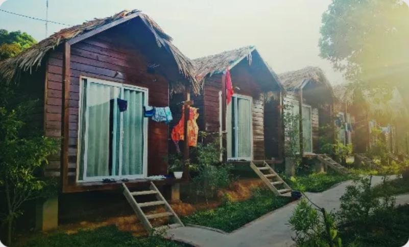 Homestays, Apartments & Villas